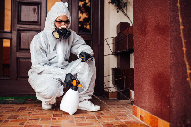 Reliable Cockroach Control contractor in Clarendon Hills, IL by Nex Pest Control